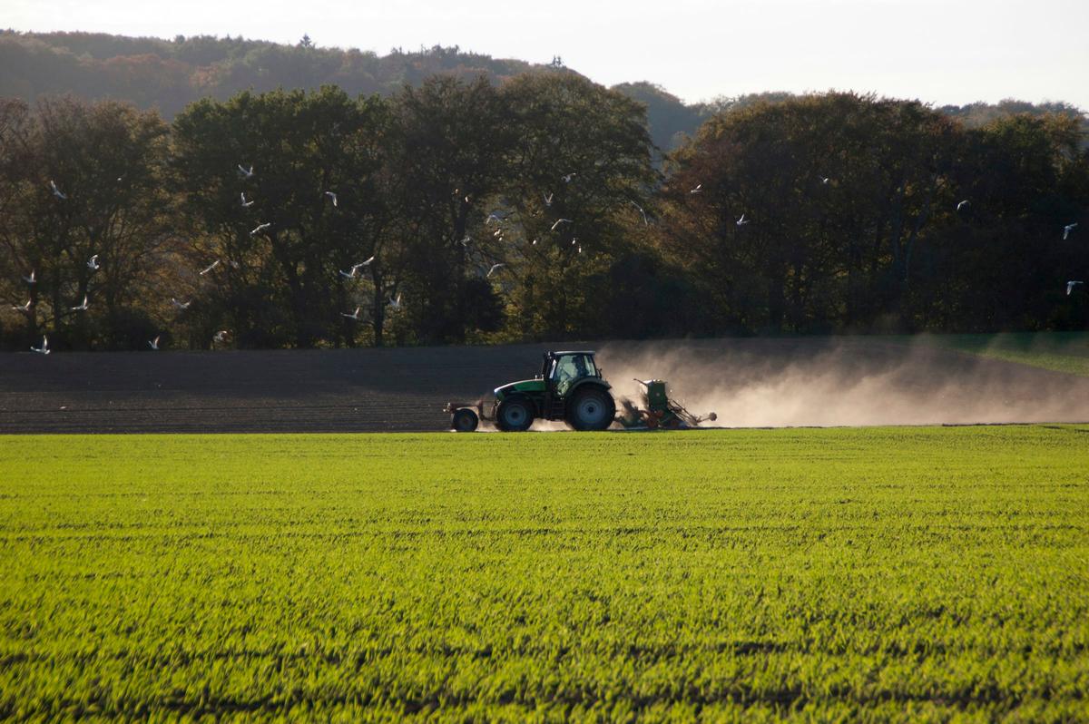 Trattore che esegue un trattamento su un campo coltivato