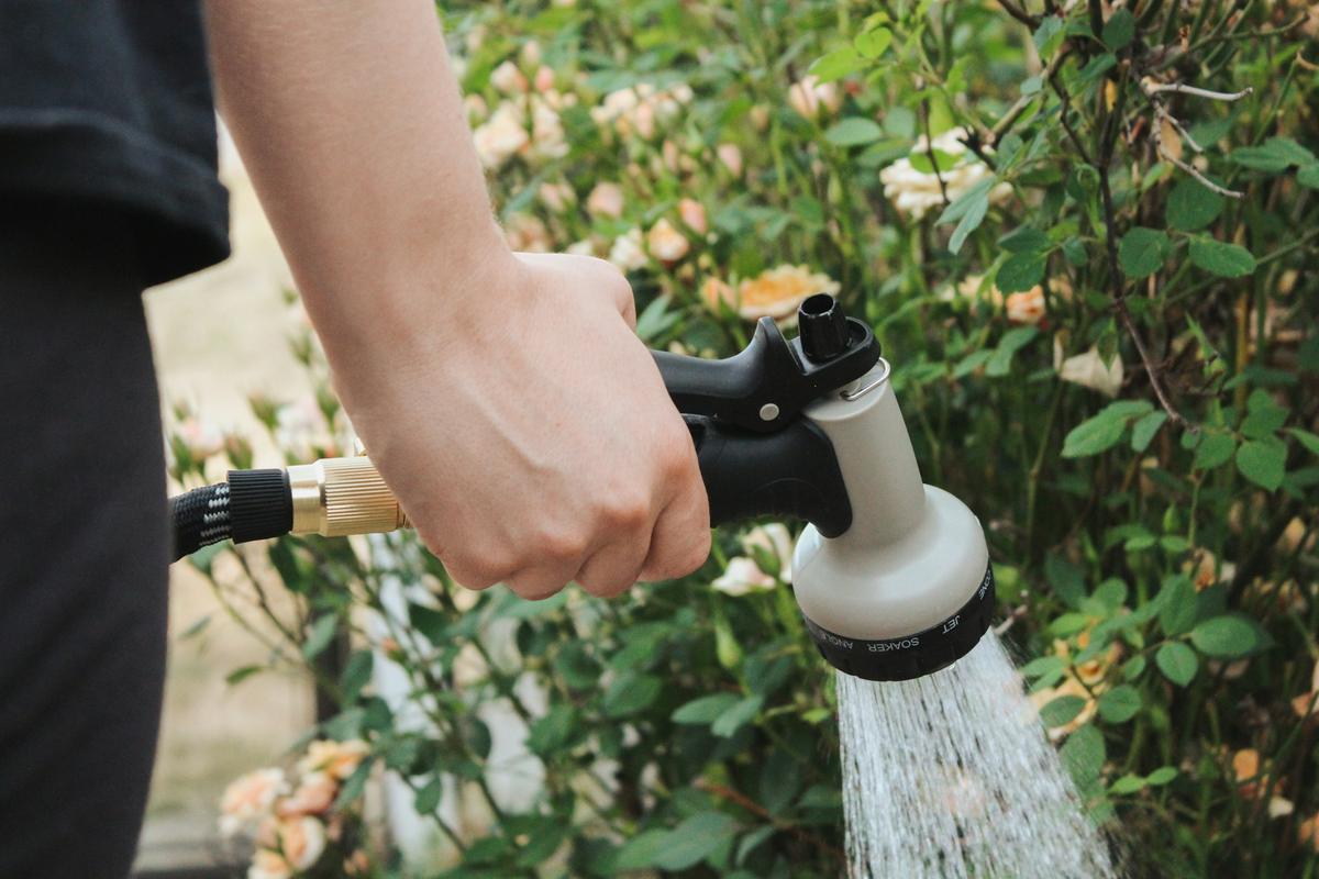 Lancia da giardino che bagna le piante